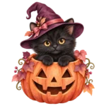 A black kitten in a plum witch hat sitting inside a jack-o-lantern on a transparent background