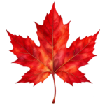 Crimson Maple Leaf watercolor autumn clipart with transparent background