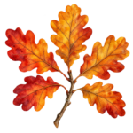 Autumn Oak Sprig watercolor autumn clipart with transparent background