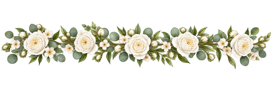 Watercolor White Rose Straight Horizontal Vine PNG on transparent background